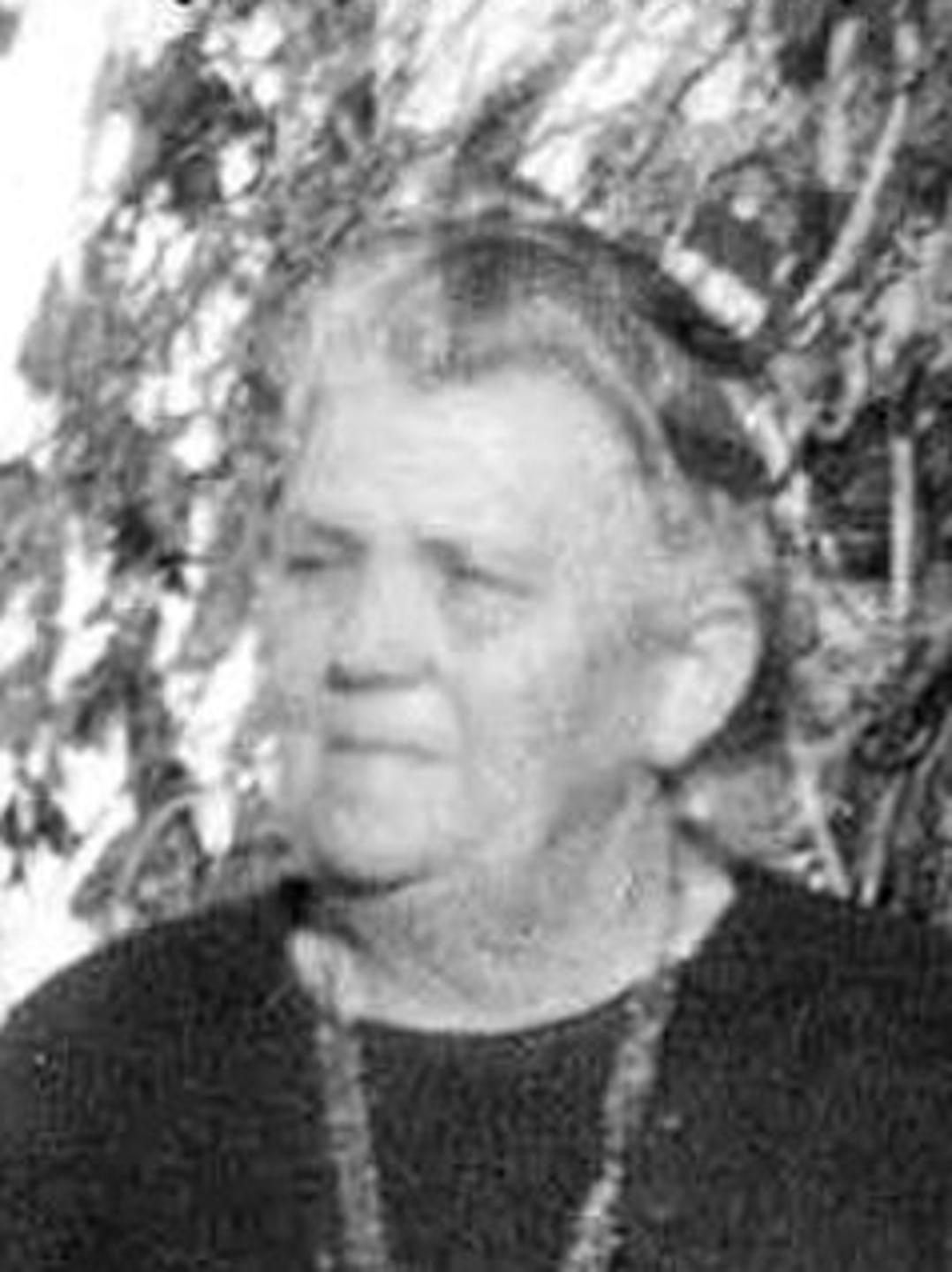Annie Anderson (1861 - 1939) Profile